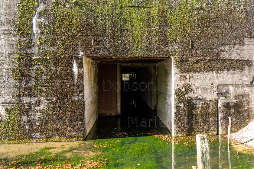 Le Blockhaus MG 4833 
 Keywords: Battle Fields, Coxyde Military Cementry, Dunkirk, Eperlecques Bunker, France and Belguim 2014, Le Blockhaus, Leper, Maria Dobson LPRS, Menin Gate, October 2014, WW1, WW2, Ypres